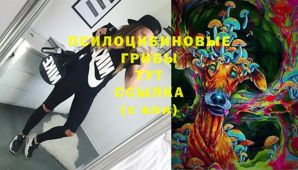 a pvp Абдулино