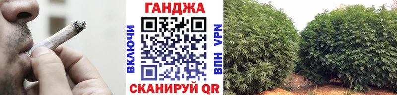 Шишки марихуана марихуана  Александровск 